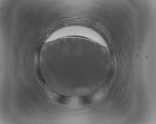 X0000081310127200701251752