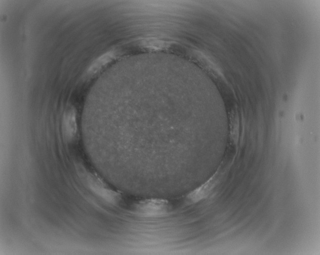 X0000081310128200701251752