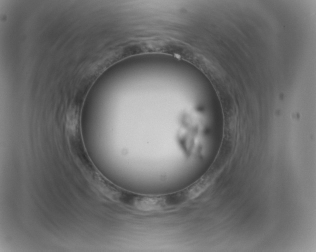 X0000081310129200701251752