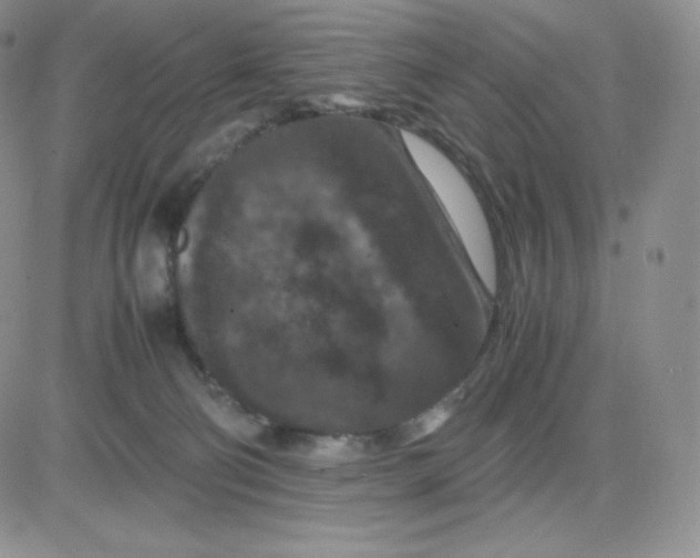 X0000081310130200701251752