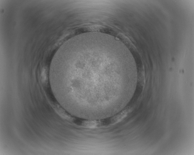 X0000081310131200701251752