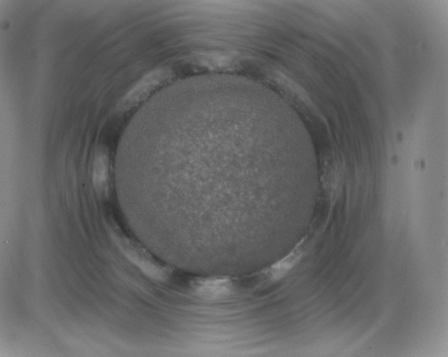 X0000081310132200701251752