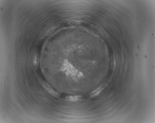 X0000081310134200701251752