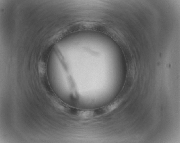 X0000081310135200701251752