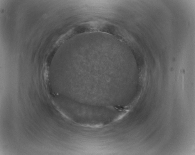 X0000081310137200701251752