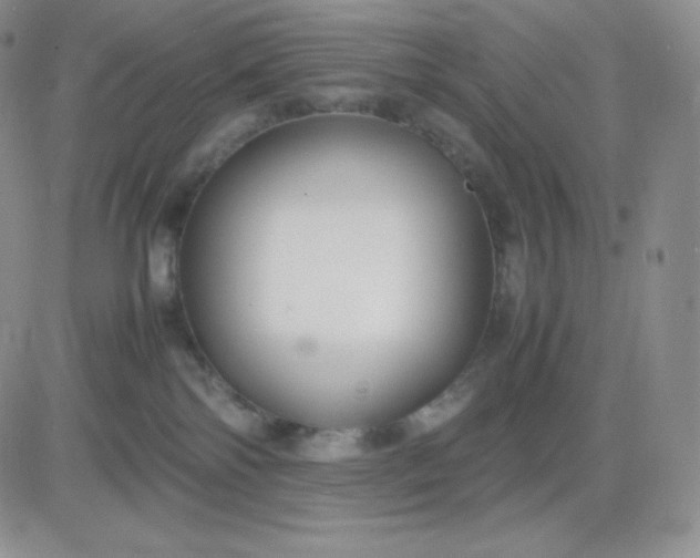 X0000081310138200701251752