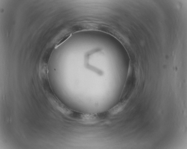 X0000081310141200701251752