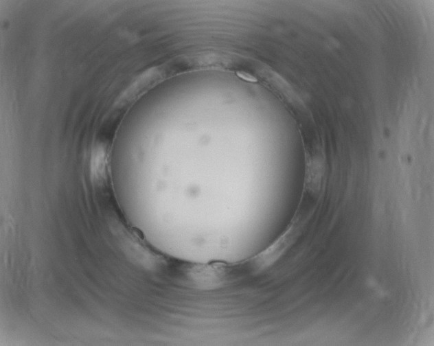 X0000081310142200701251752