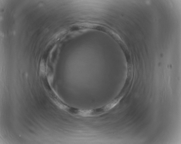 X0000081310143200701251752