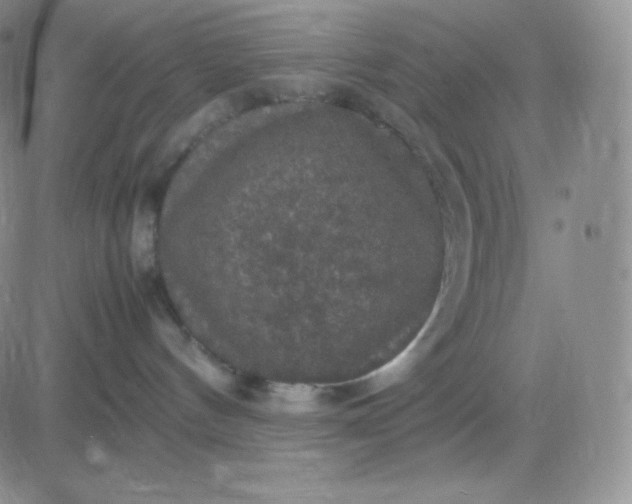 X0000081310144200701251752