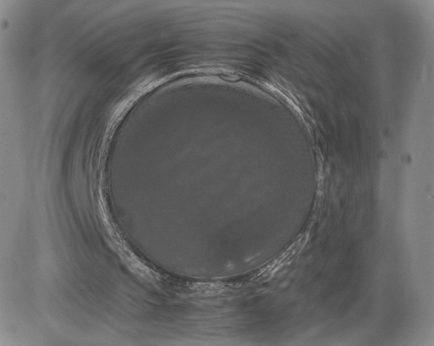 X0000081310145200701251751