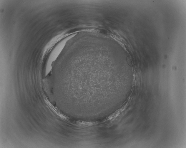 X0000081310149200701251751