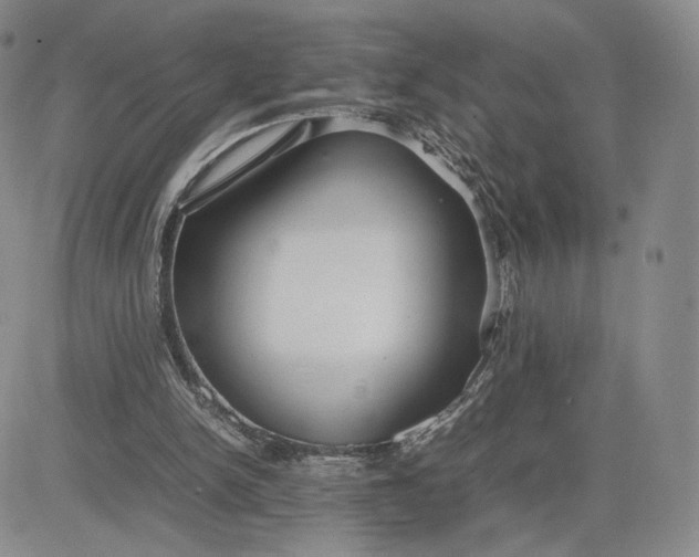 X0000081310150200701251751