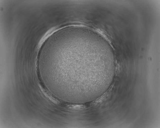 X0000081310151200701251751