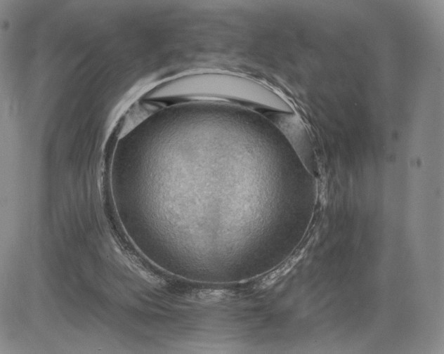 X0000081310152200701251751