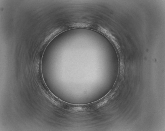 X0000081310153200701251751