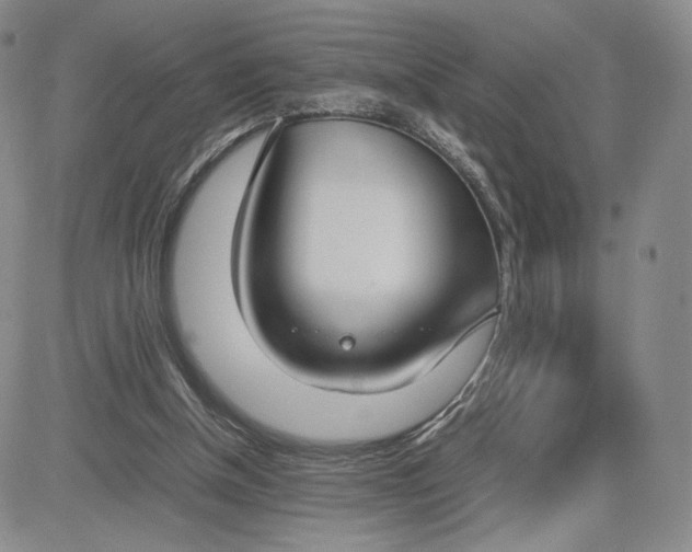 X0000081310154200701251751