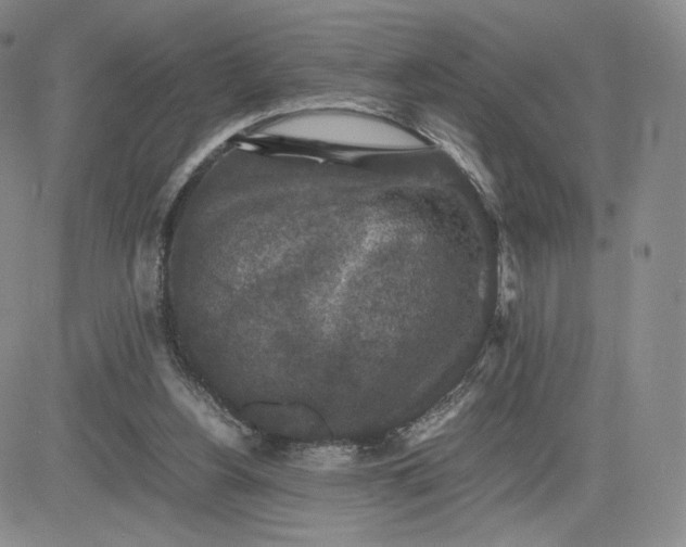 X0000081310156200701251751