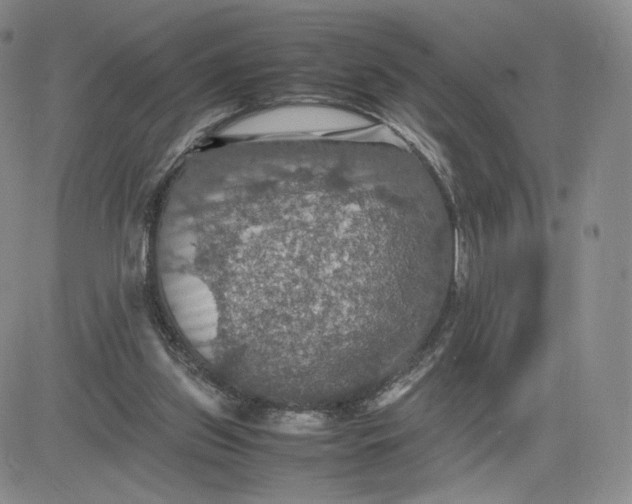 X0000081310157200701251751