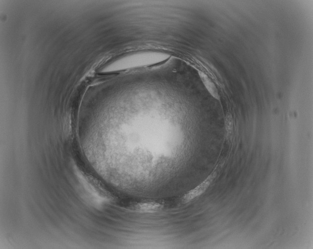 X0000081310158200701251752