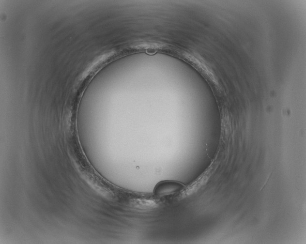 X0000081310159200701251752