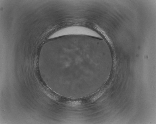 X0000081310161200701251752