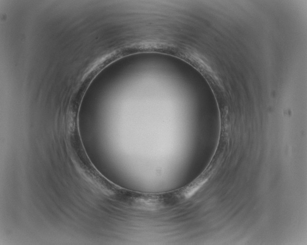 X0000081310164200701251752