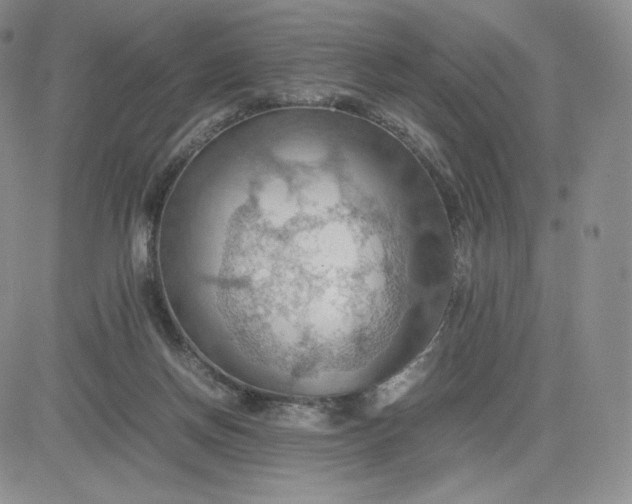 X0000081310166200701251752