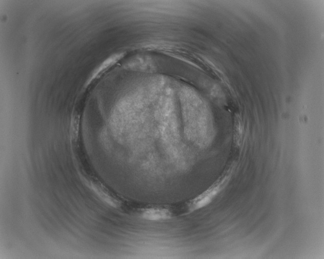 X0000081310168200701251752