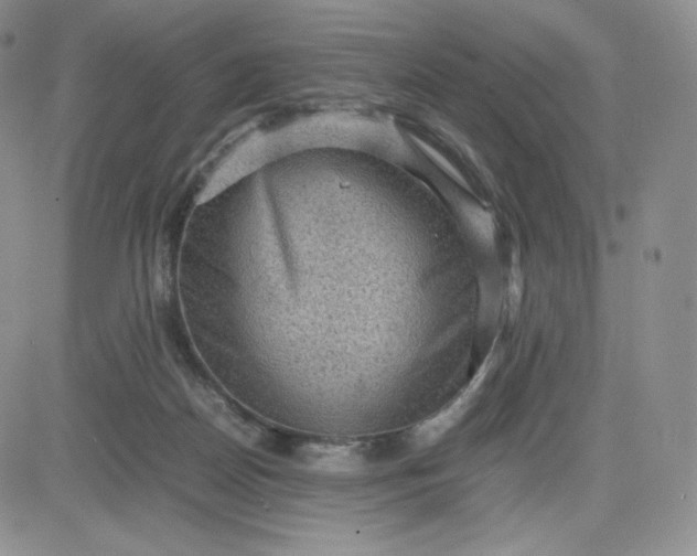 X0000081310170200701251752