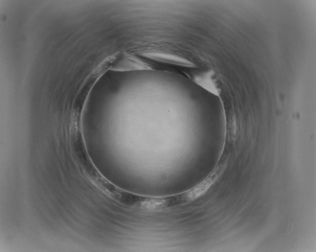 X0000081310172200701251752