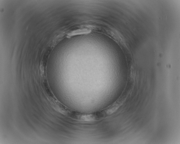 X0000081310173200701251752