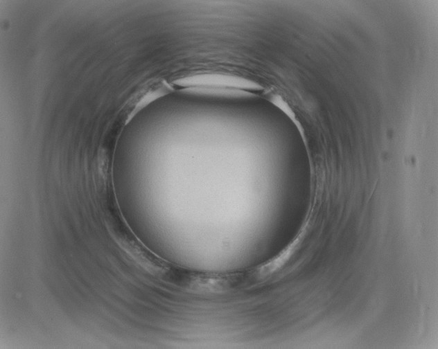 X0000081310174200701251752