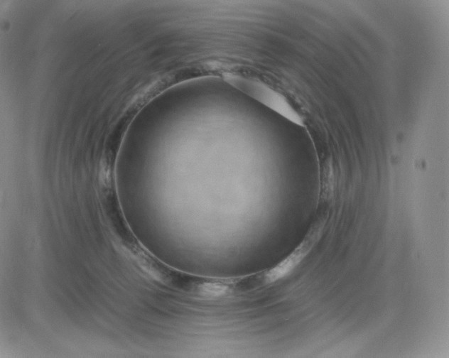 X0000081310176200701251752