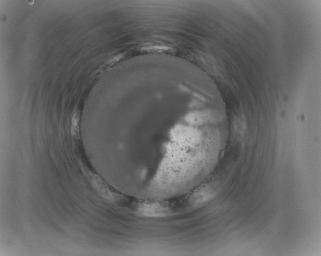 X0000081310177200701251752