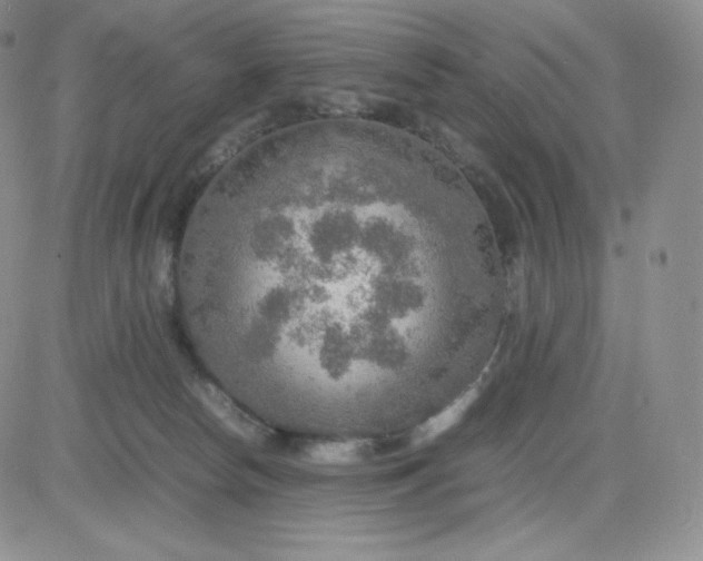 X0000081310178200701251752