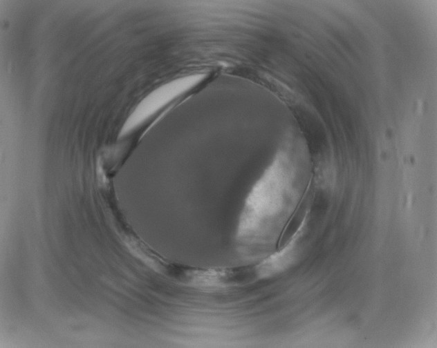 X0000081310182200701251752