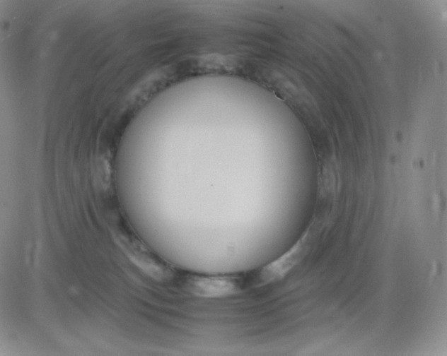 X0000081310183200701251752