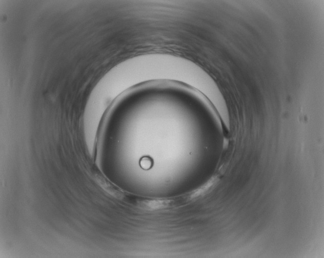 X0000081310184200701251752