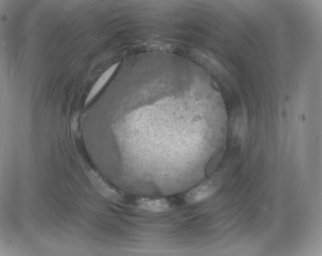 X0000081310185200701251752