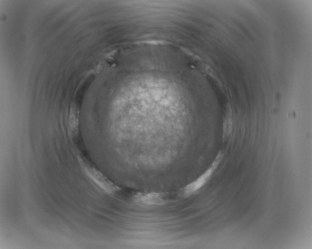 X0000081310186200701251752