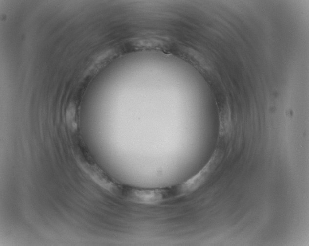 X0000081310187200701251752