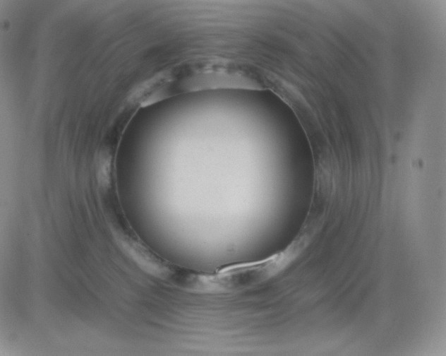 X0000081310188200701251752