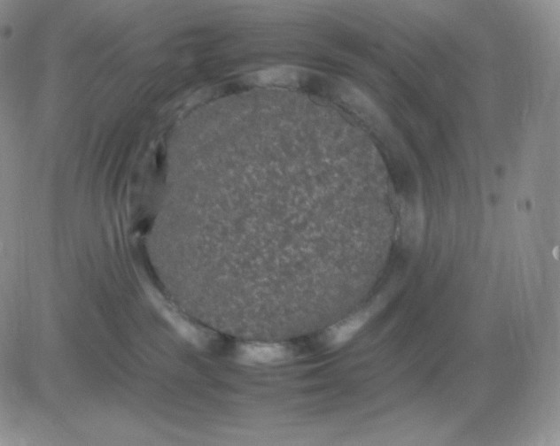 X0000081310189200701251752