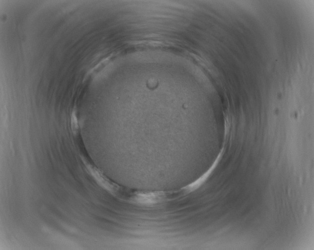 X0000081310190200701251752