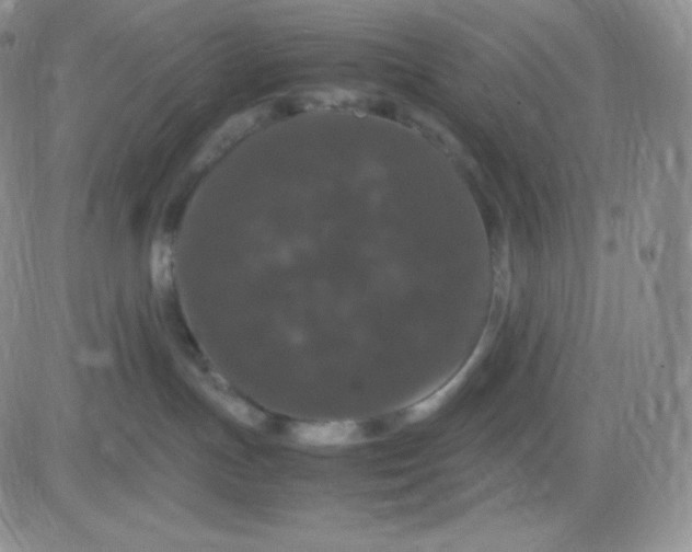 X0000081310191200701251752