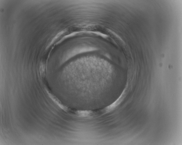 X0000081310192200701251752