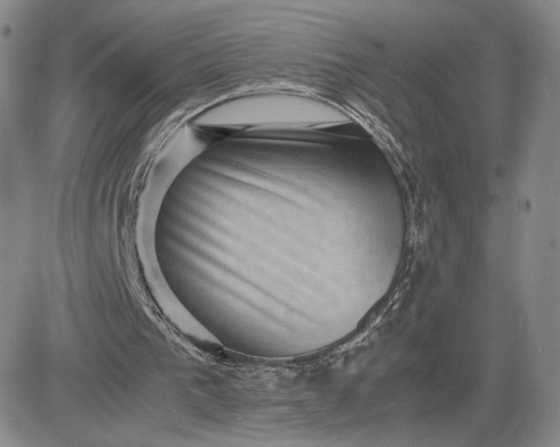 X0000081310193200701251751