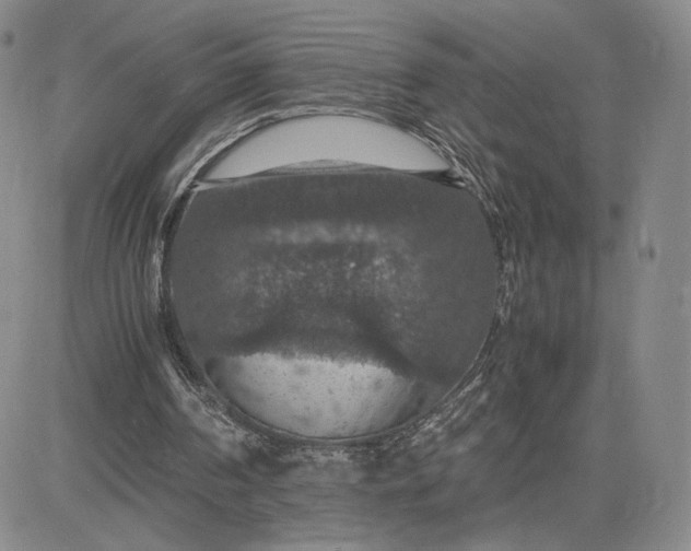 X0000081310194200701251751