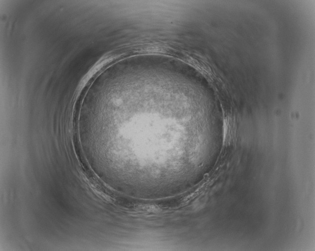 X0000081310195200701251751